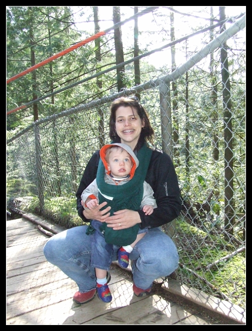 Suspension bridge